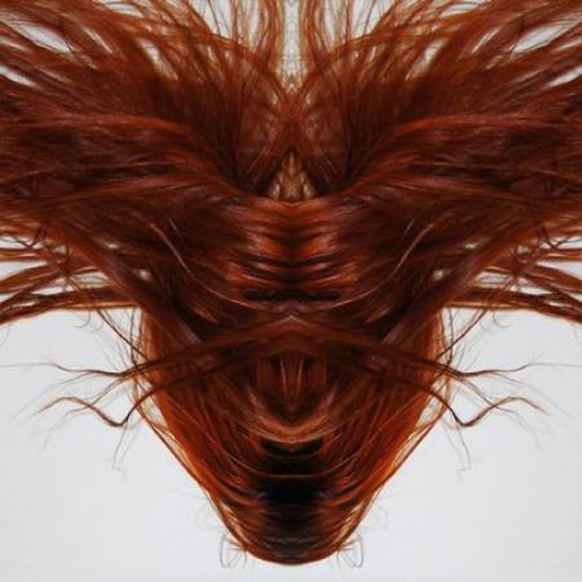 Dave Phillips - A Collection Of Hair