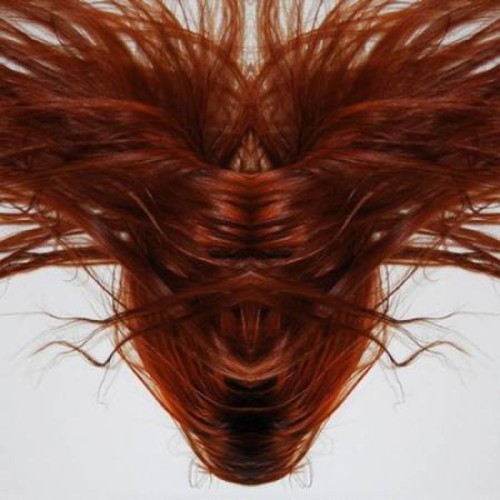 Dave Phillips - A Collection Of Hair