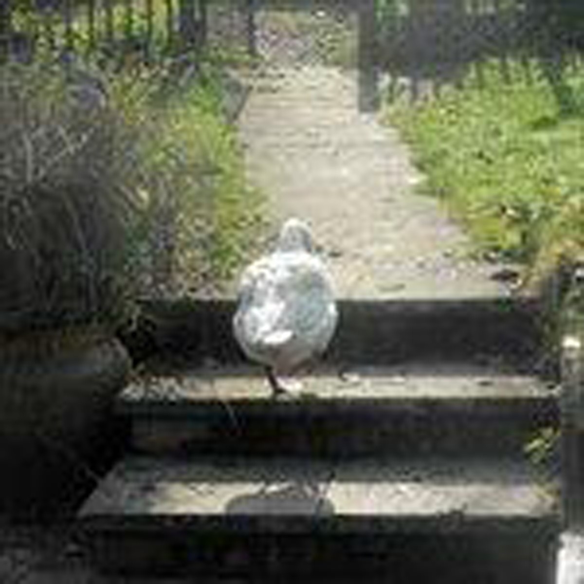 Pilote - Slowdown. Epilogue