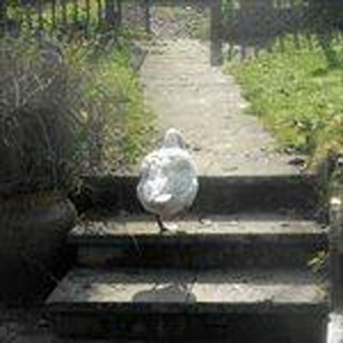 Pilote - Slowdown. Epilogue