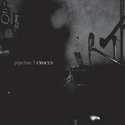 Pipeline 5 - Crocus