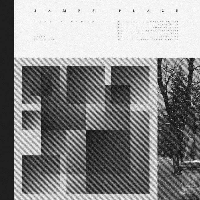 James Place - Voices Bloom (Neon Orange)