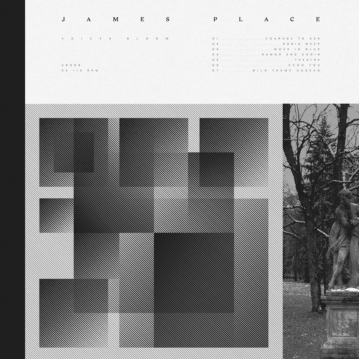 James Place - Voices Bloom (Neon Orange)