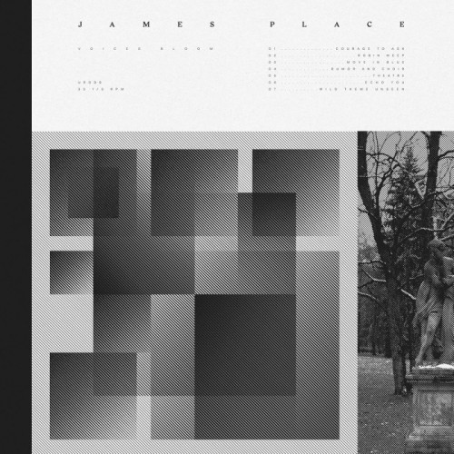 James Place - Voices Bloom (Neon Orange)