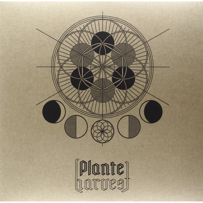 Plante - Harvest