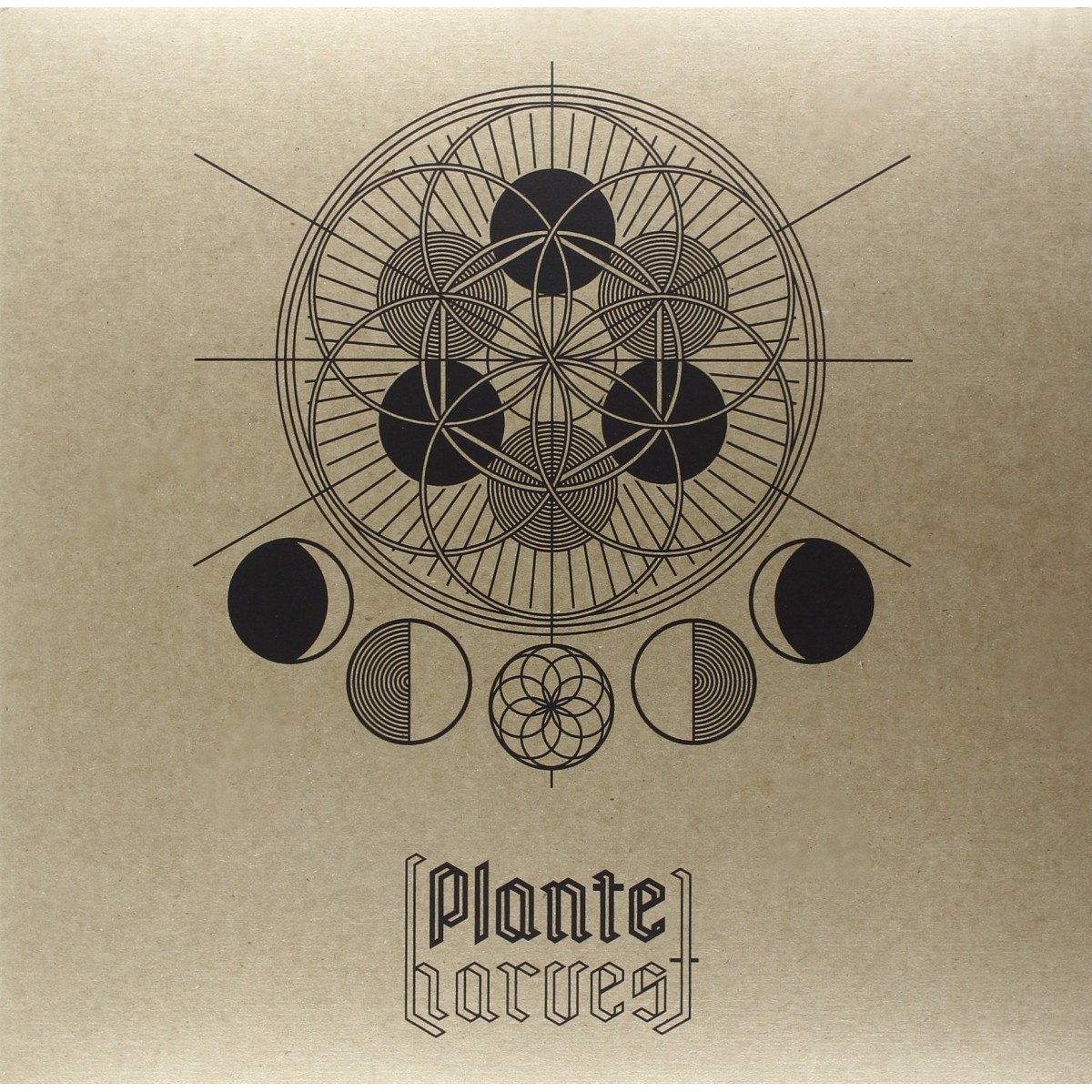 Plante - Harvest