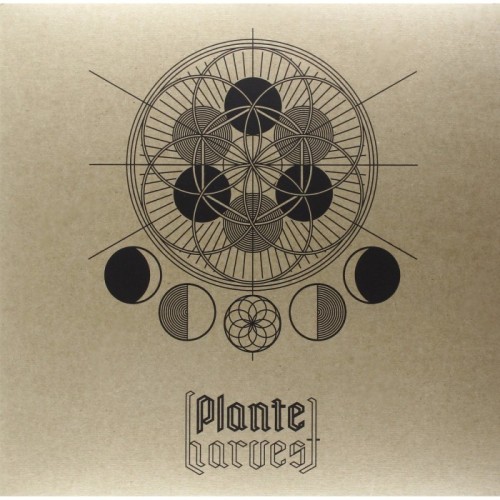 Plante - Harvest