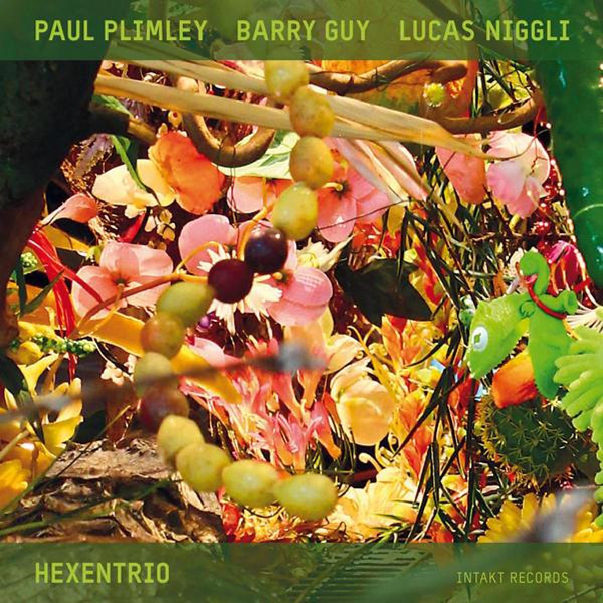 Paul Plimley & Barry Guy & Lucas Niggli - Hexentrio