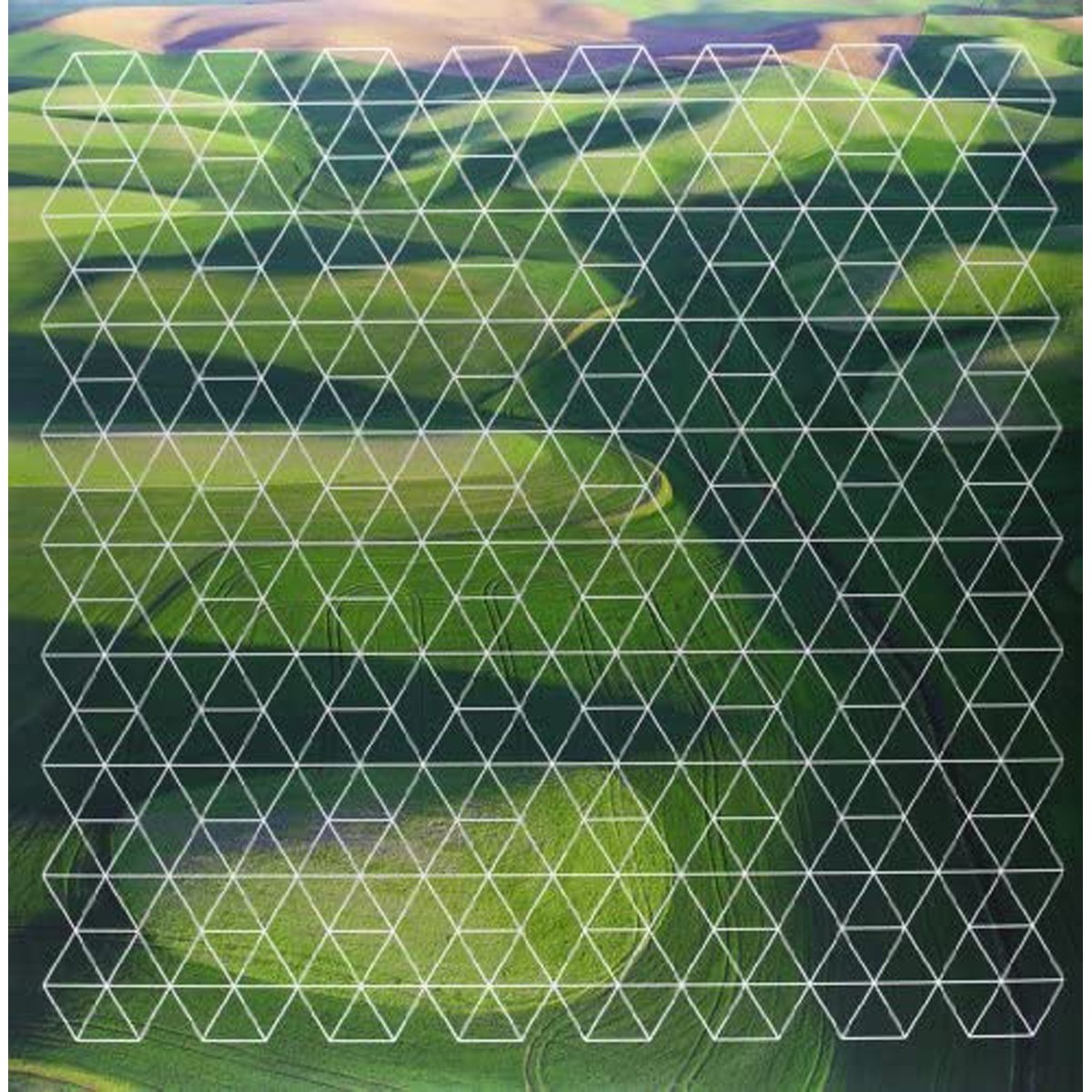 Henry Plotnick - Fields