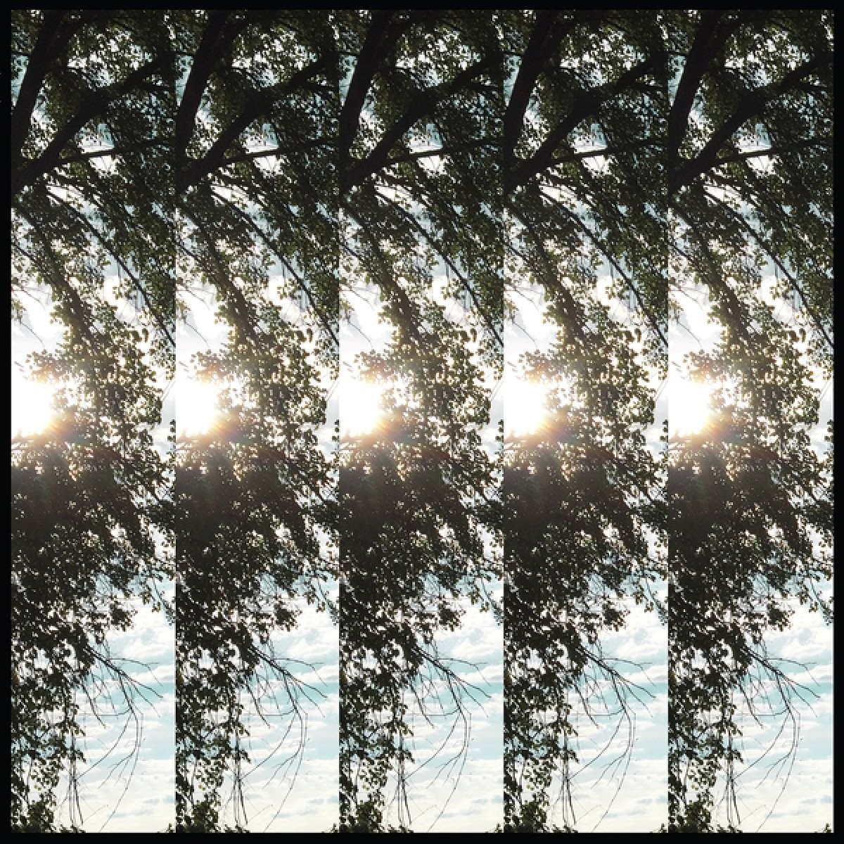 Pontiak - Dialectic Of Ignorance