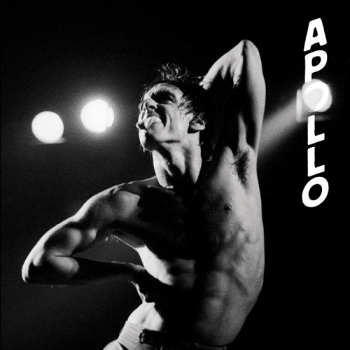 Iggy Pop - Apollo