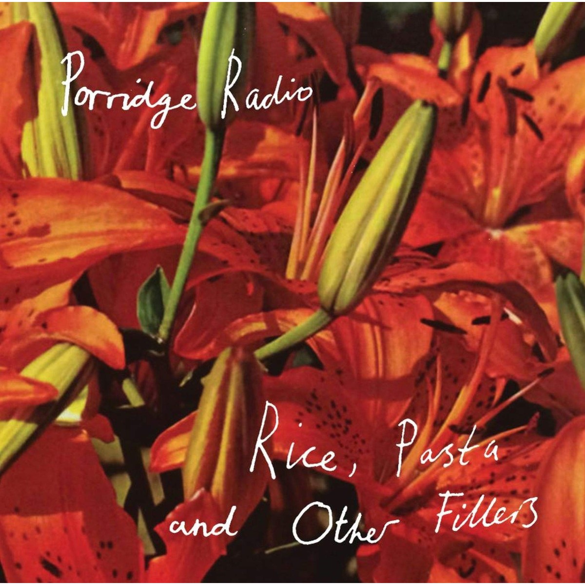 Porridge Radio - Rice, Pasta And Other Fillers