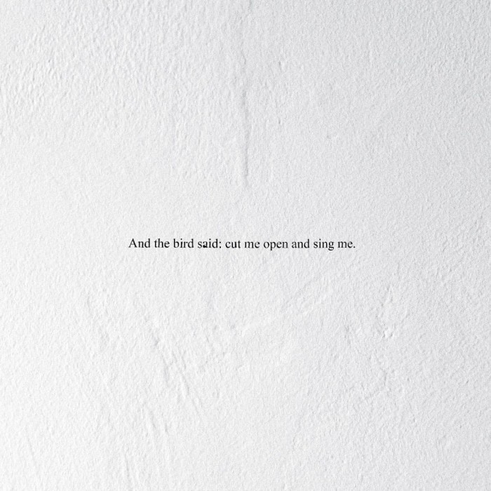 Prairie - And The Bird Said: Cut Me Open And Sing Me