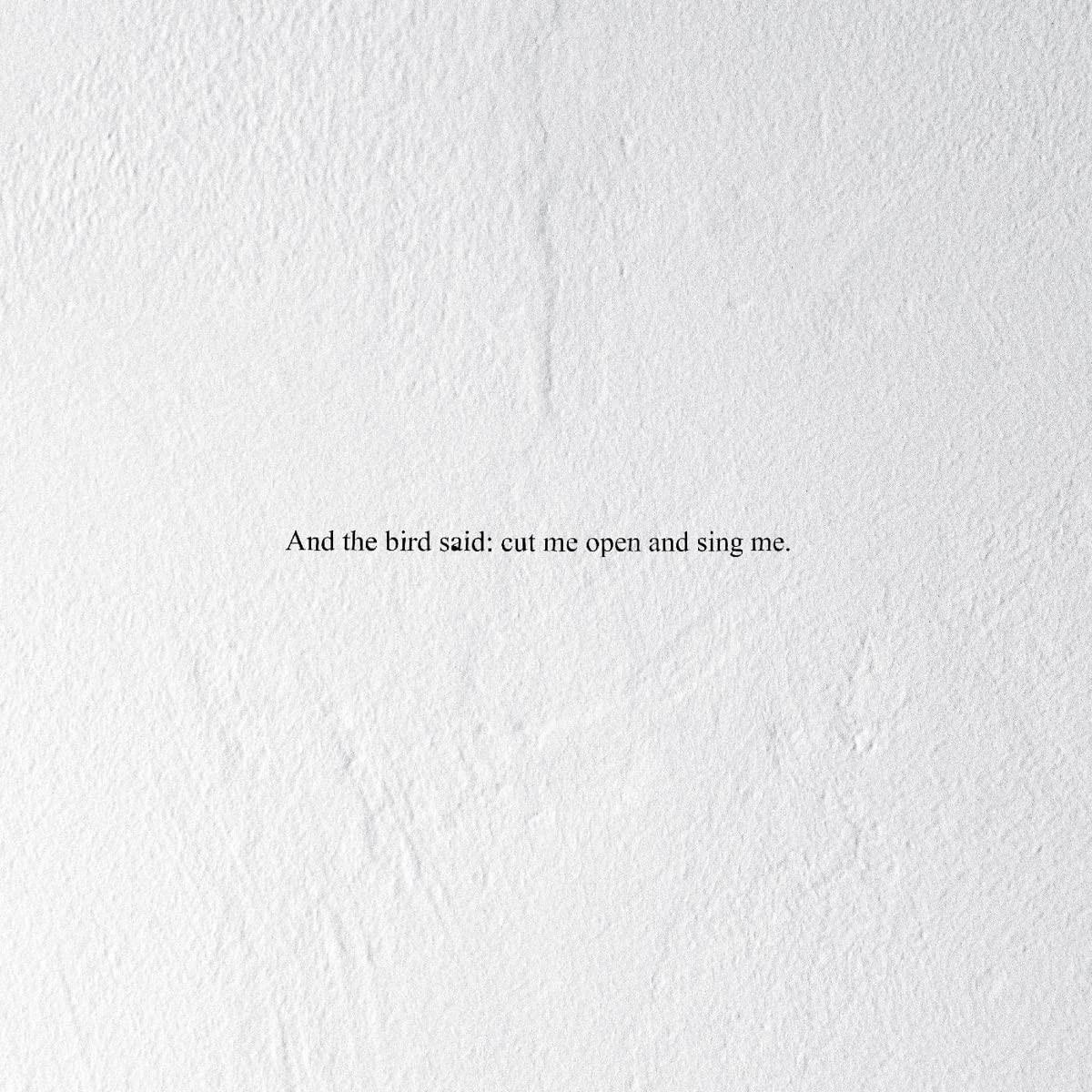 Prairie - And The Bird Said: Cut Me Open And Sing Me