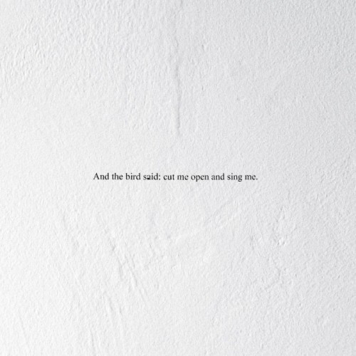 Prairie - And The Bird Said: Cut Me Open And Sing Me