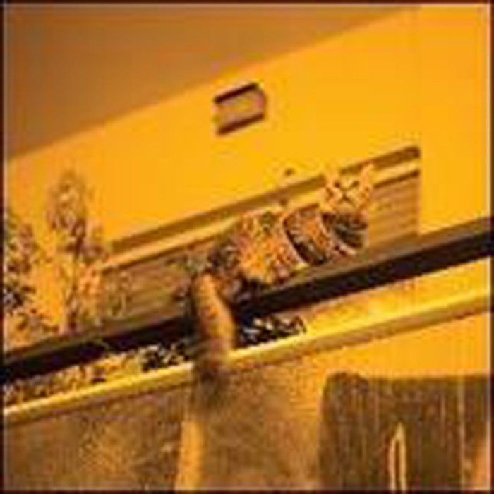 Sam Prekop - Republic