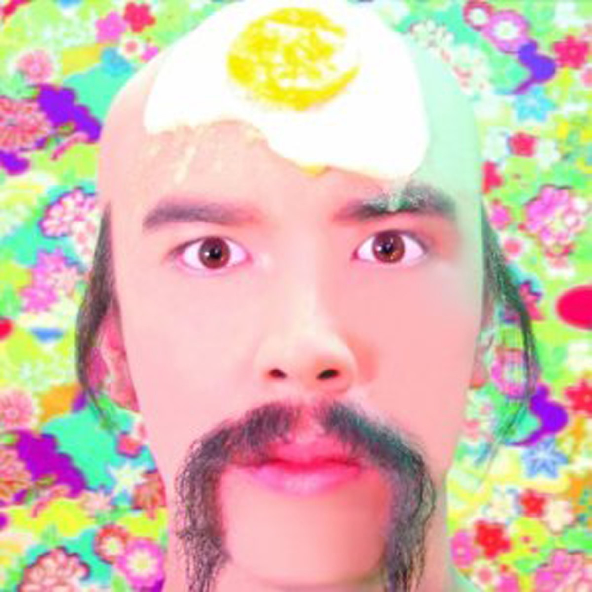 Pseudo Nippon - Universal Pork Tai Chi