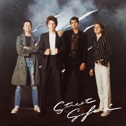 Public Access T.V. - Street Safari