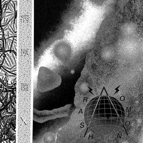 Rashomon - Pathogen X