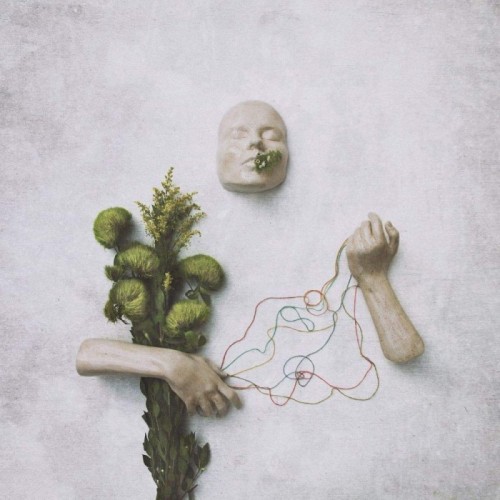 Red Steppes - A Mouth May Grow