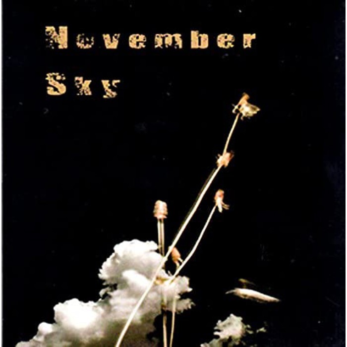The Remote Viewer - November Sky