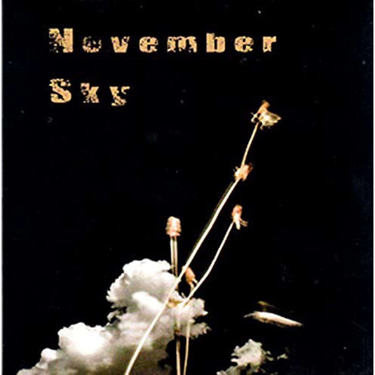 The Remote Viewer - November Sky