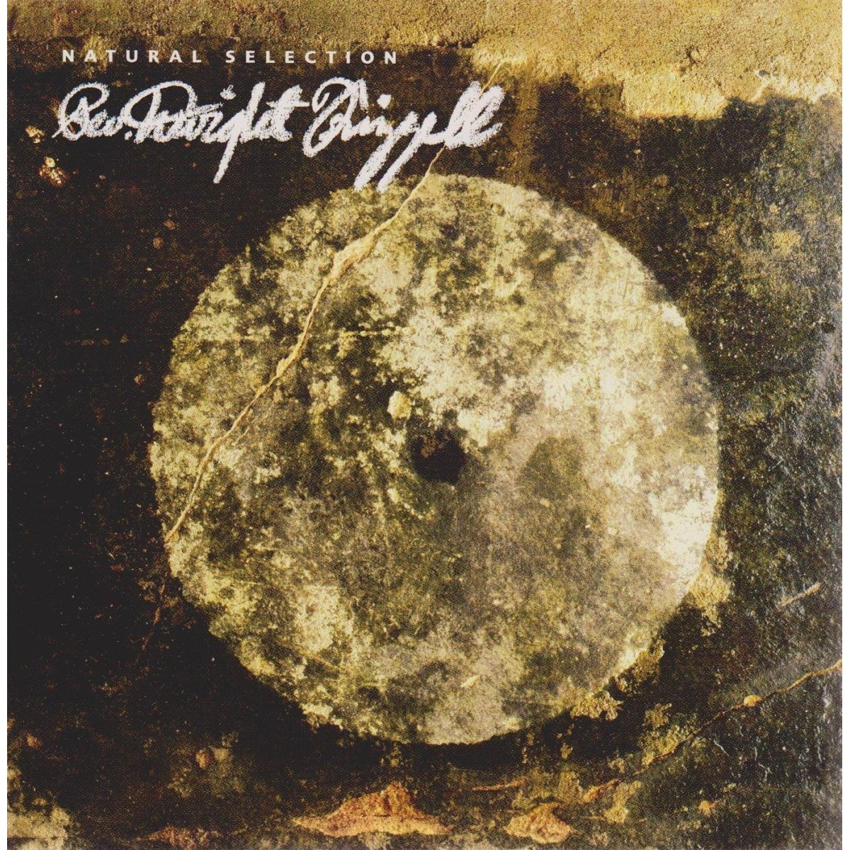 Rev. Dwight Frizzell - Natural Selection