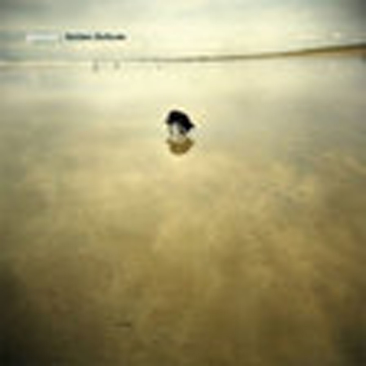 Ritornell - Golden Solitude