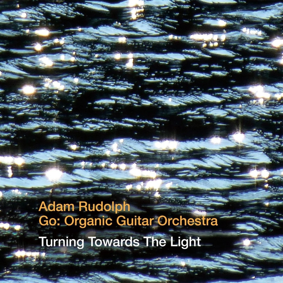 Adam Rudolph & Go: Organic Orchestra - Turning Towards The Light