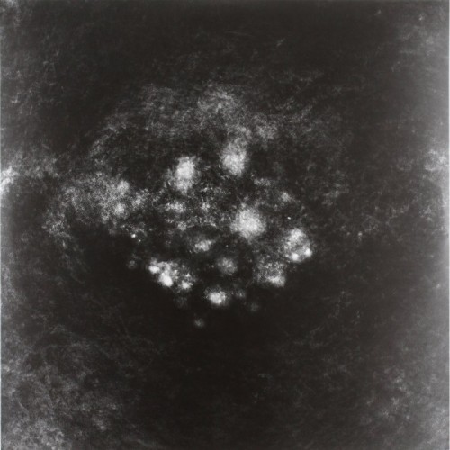 Saffronkeira - Synecdoche