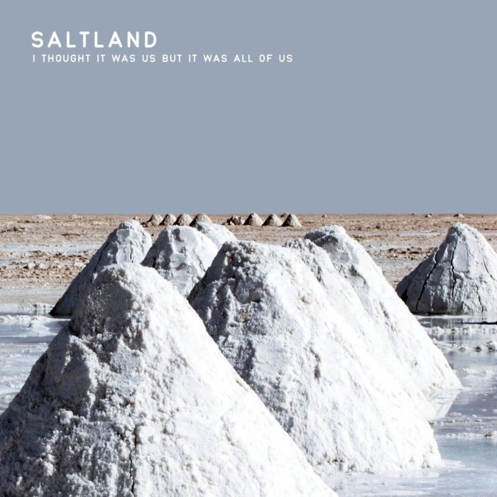 Saltland - I Thought It Was Us But It Was All Of Us