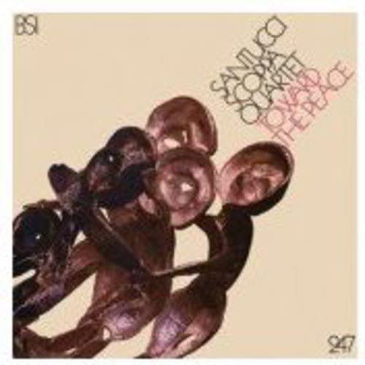 Santucci Scoppa Quartet - Toward The Peace