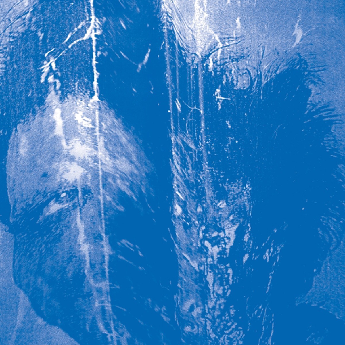 Secret Boyfriend - This Is Always Where You've Lived