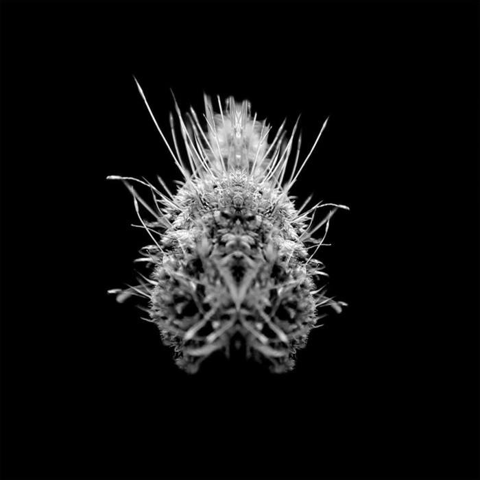 Selm - TiiiER / Post-Adrenaline