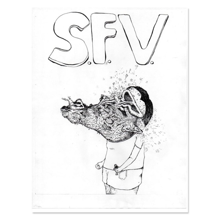 SFV Acid - Sfv Acid Vol.2