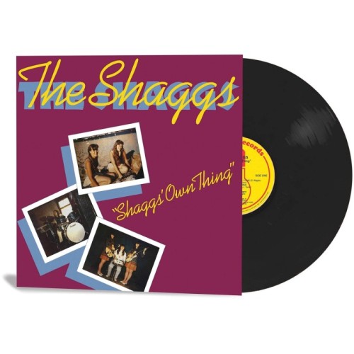 Shaggs - Shaggs Own Thing