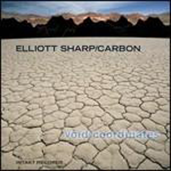 Elliott Sharp & Carbon - Void Coordinates