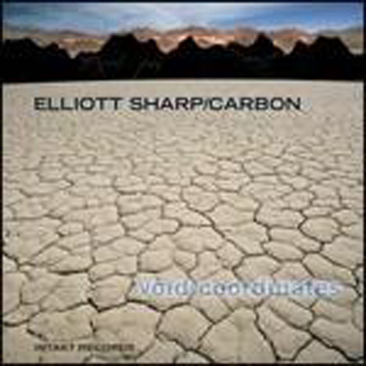 Elliott Sharp & Carbon - Void Coordinates