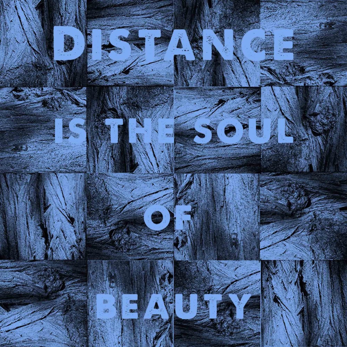 Michael J. Sheehy - Distance Is The Soul Of Beauty