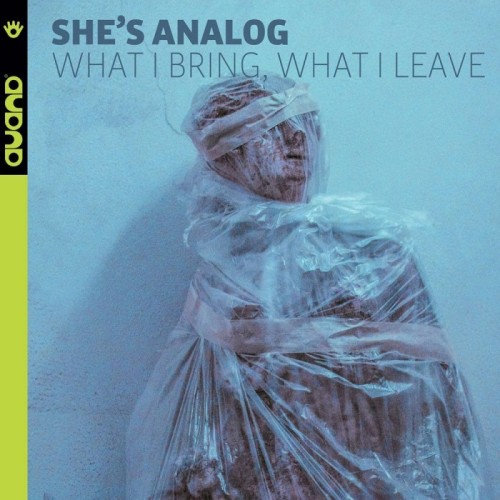 She's Analog - What I Bring, What I Leave