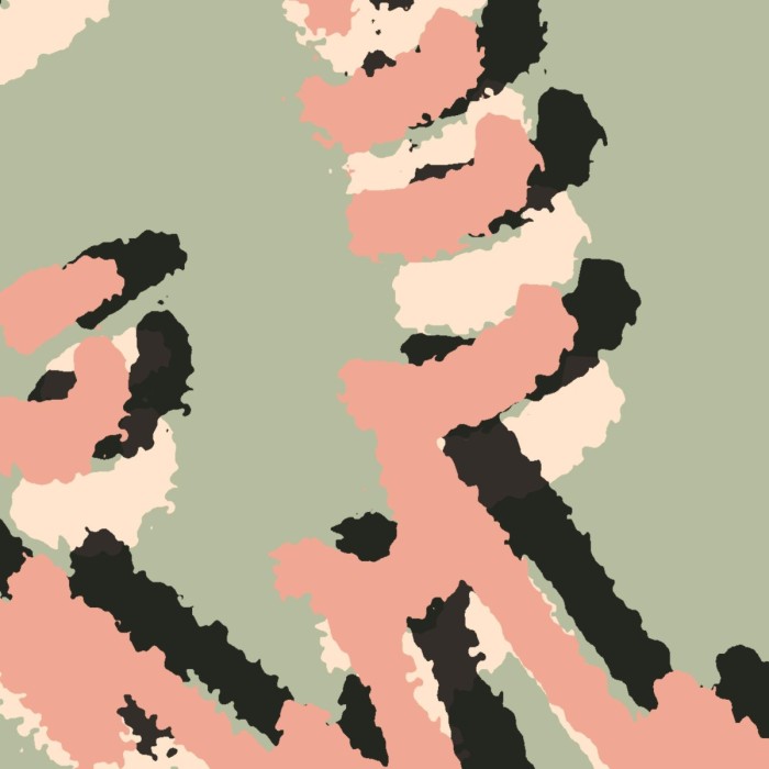 Shielding - Collecting Seaweed (Ep)