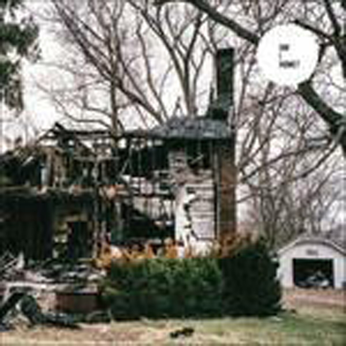 Skeletons - Am I Home?