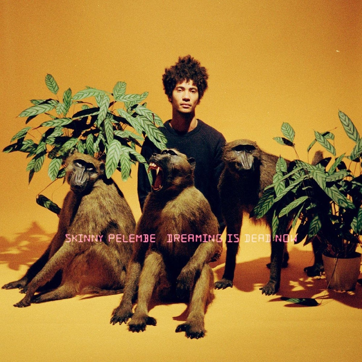 Skinny Pelembe - Dreaming Is Dead Now