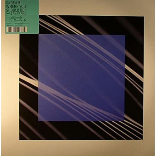 Skream - Where You Should Be