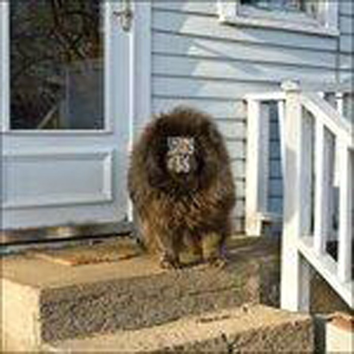 Sleeping Bag - Sleeping Bag (Blue Vinyl)