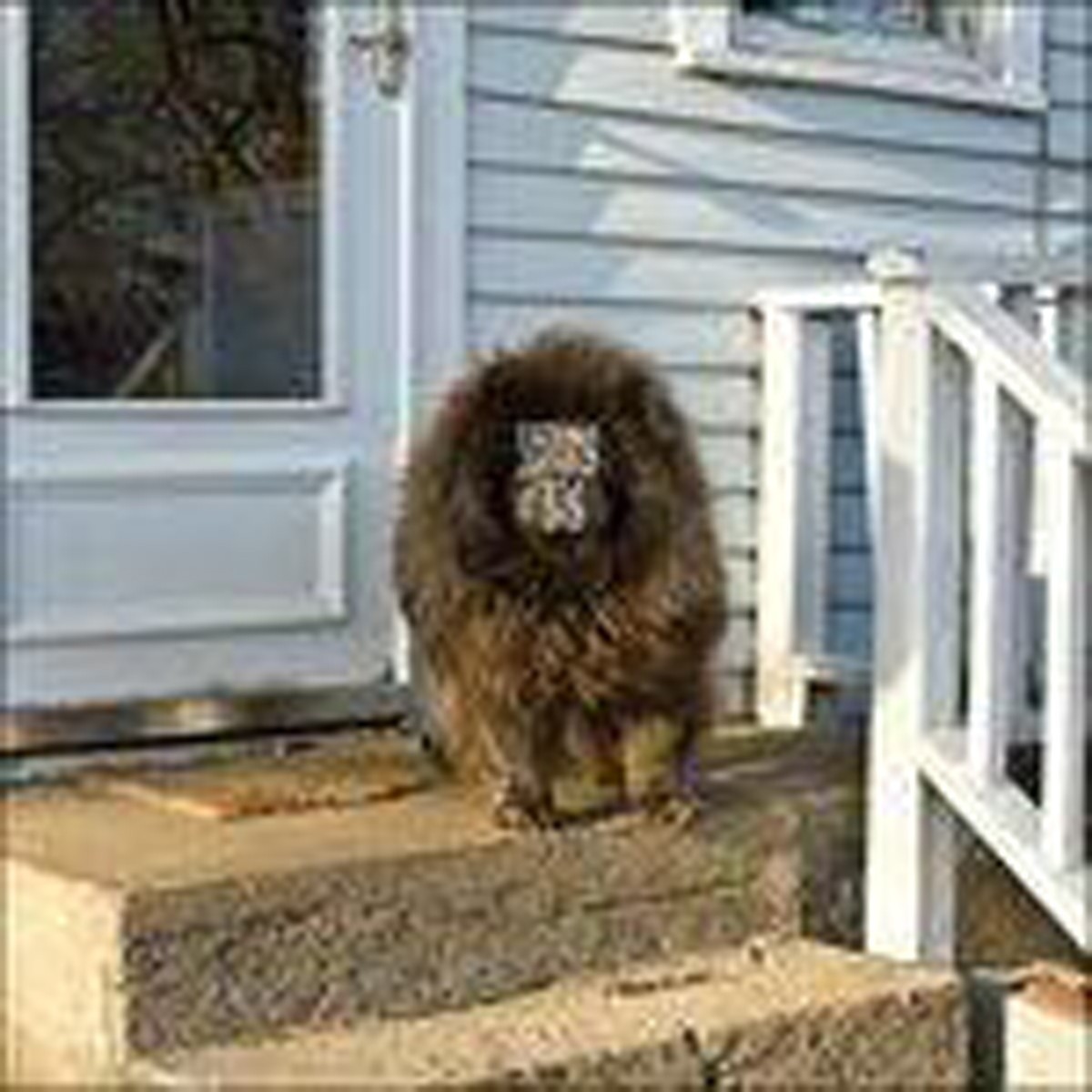 Sleeping Bag - Sleeping Bag (Blue Vinyl)