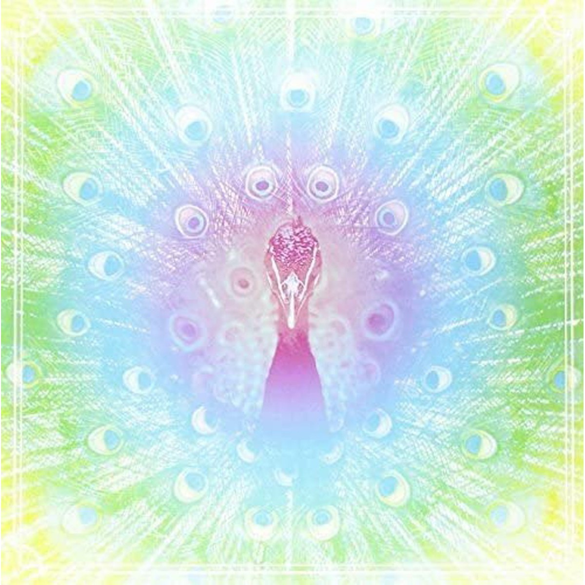 64 Slices Of American Cheese - Il Pavone Reale