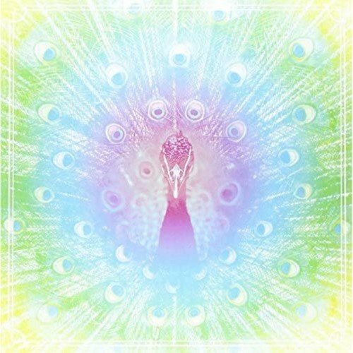 64 Slices Of American Cheese - Il Pavone Reale