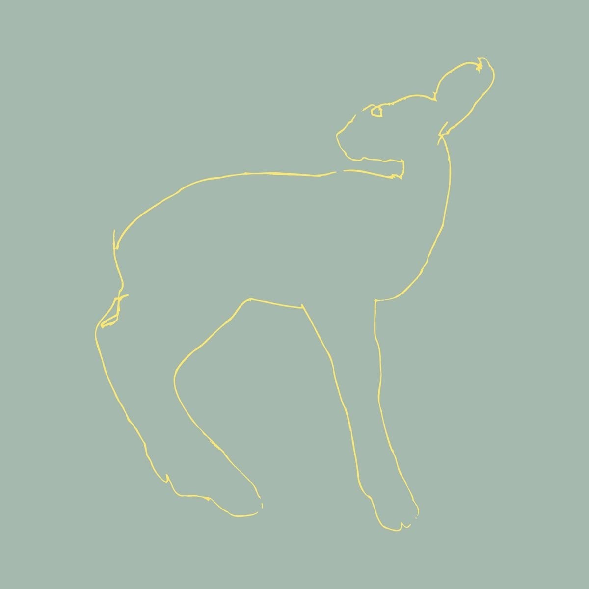 Songs: Ohia - Hecla & Griper (Reissue)