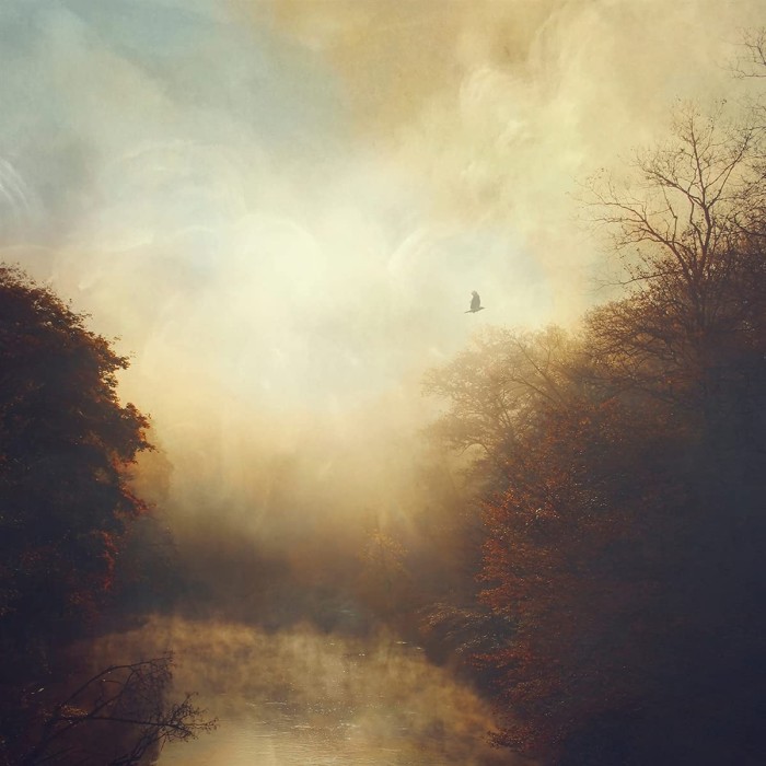 Stray Theories - This Light